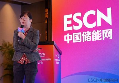 首届全国储能技术与综合能源服务高层研讨会在厦门召开